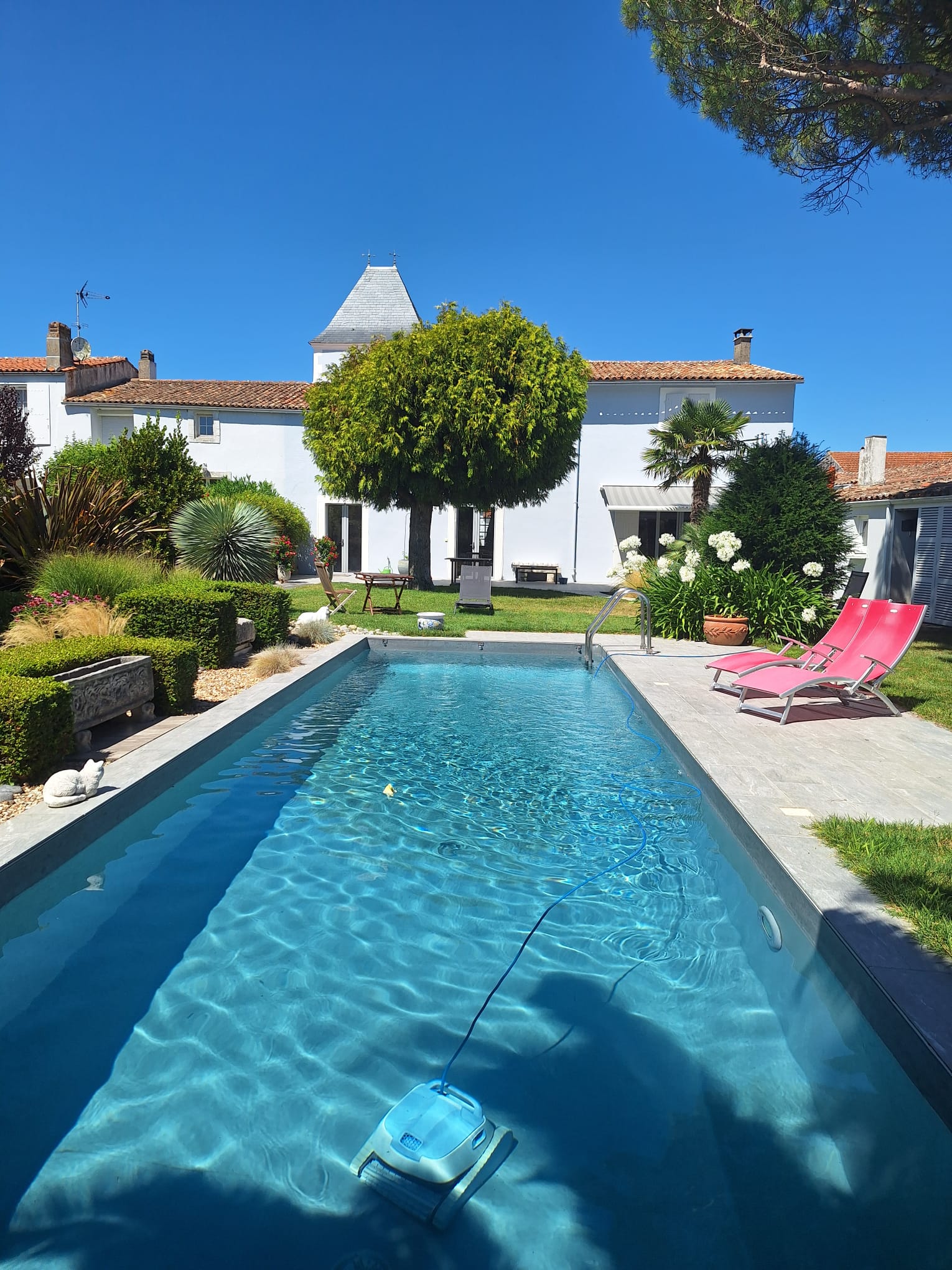 Piscine et jardin entretenus